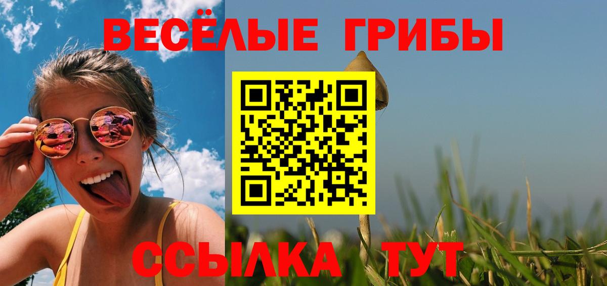 Галлюциногенные грибы мицелий Заречный