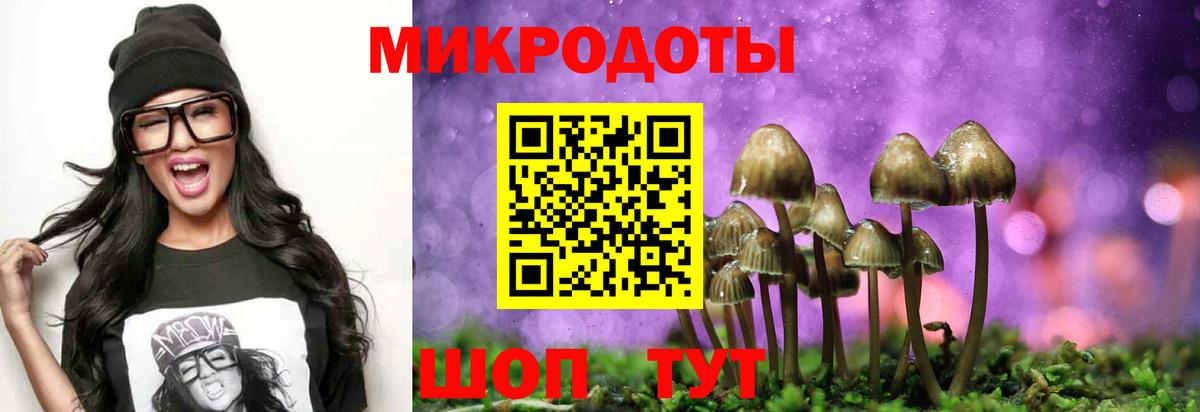 Заречный  Галлюциногенные грибы мицелий  Вход с VPN 